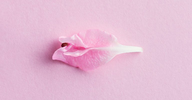 Weshalb die Vaginalflora entscheidend für deine Gesundheit ist